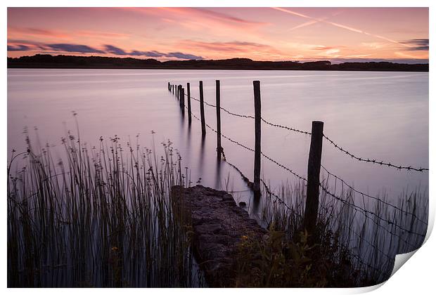  Kenfig Pool posts Print by Leighton Collins