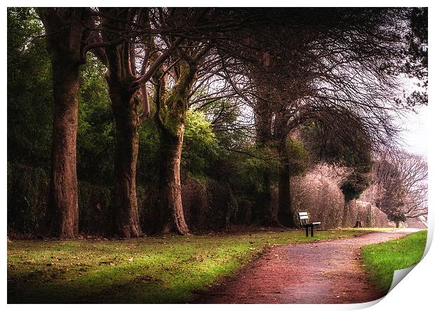 Ravenhill park bench Print by Leighton Collins
