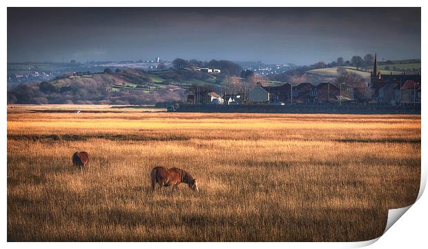 Marsh ponies at Penclawdd village Print by Leighton Collins