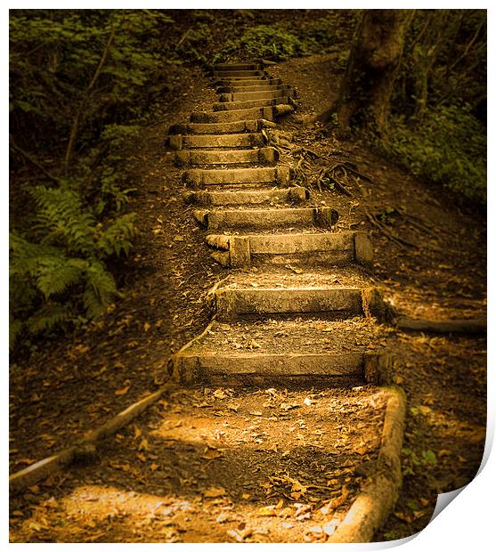  Autumn forest steps Print by Leighton Collins