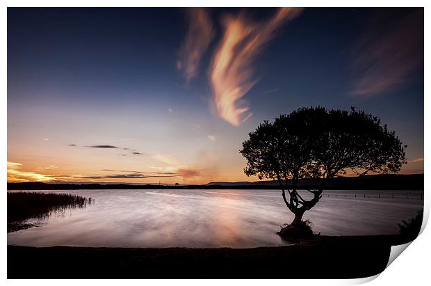  Kenfig Pool and tree Print by Leighton Collins