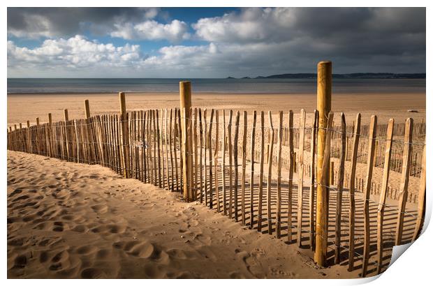 Swansea Bay dune defence Print by Leighton Collins
