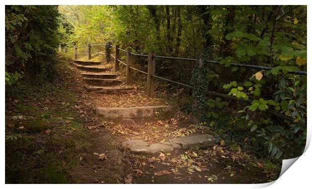 Autumn steps Print by Leighton Collins