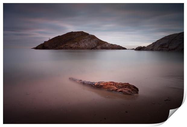Driftwood on Mumbles beach Print by Leighton Collins