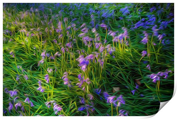 British Bluebells using an oil painting filter Print by Leighton Collins