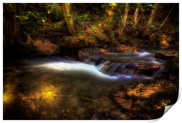 Dappled light and Autumn colours Print by Leighton Collins