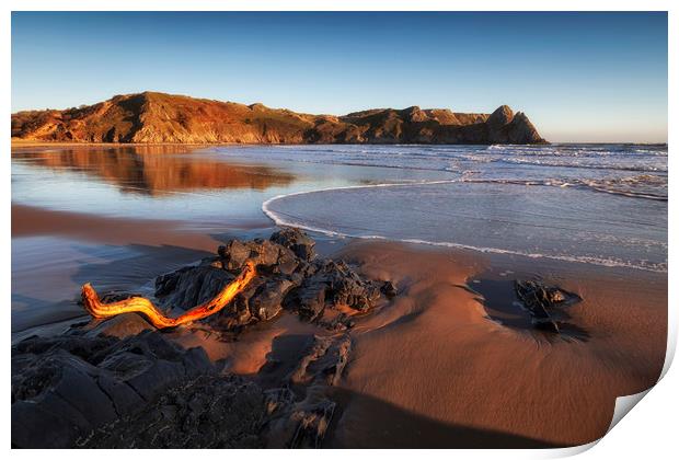 Driftwood at Three Cliffs Bay Print by Leighton Collins