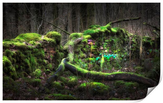 Old moss covered wall Print by Leighton Collins