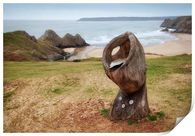 Shell Sculpture at Three Cliffs Bay Print by Leighton Collins
