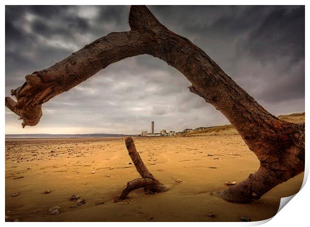 Driftwood on Swansea Bay Print by Leighton Collins