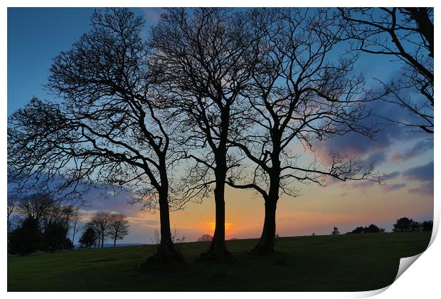 Ravenhill park sunset Print by Leighton Collins