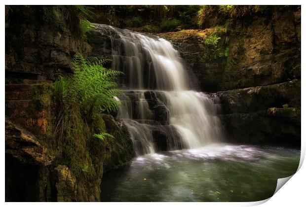 The waterfall behind Dinas Rock Print by Leighton Collins