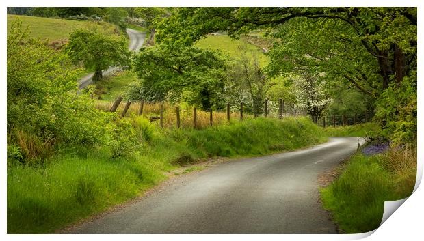 A winding Welsh country road Print by Leighton Collins