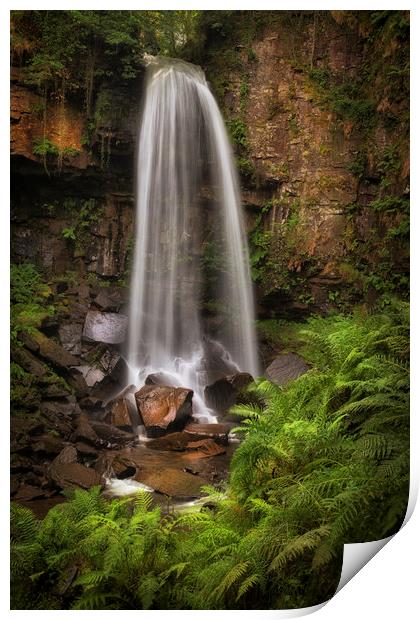 Waterfall and ferns at Melincourt Print by Leighton Collins