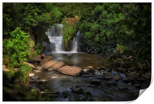 Penllergare Woods waterfall Print by Leighton Collins