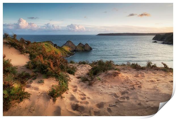 The sand dunes overlooking Three Cliffs Bay Print by Leighton Collins
