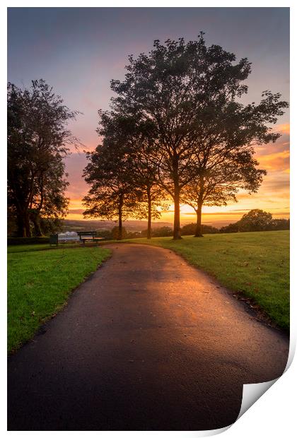 A path at dusk in Ravenhill park Print by Leighton Collins