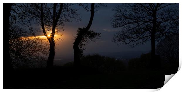 Evening sunburst through the trees Print by Leighton Collins