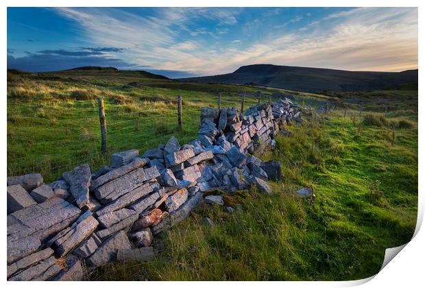 Dry stone wall in Penwyllt Print by Leighton Collins