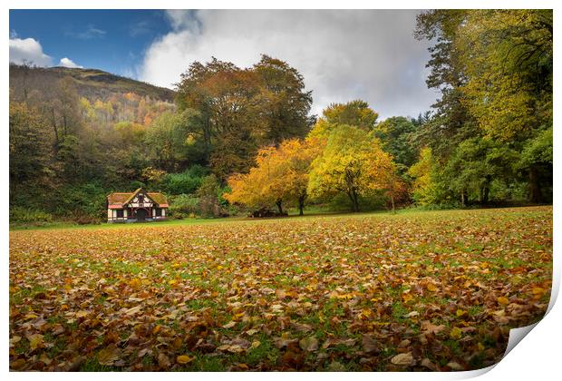 Autumn at Craig-y-Nos Country park  Print by Leighton Collins