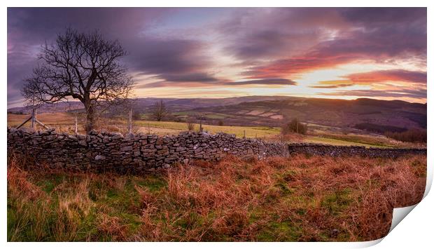 Dawn on the Gwrhyd mountain Print by Leighton Collins