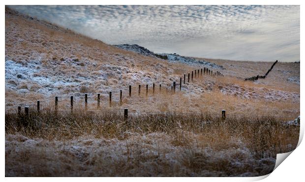 Snow capped posts in Penwyllt Print by Leighton Collins