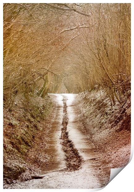 A country road in Winter Print by Leighton Collins