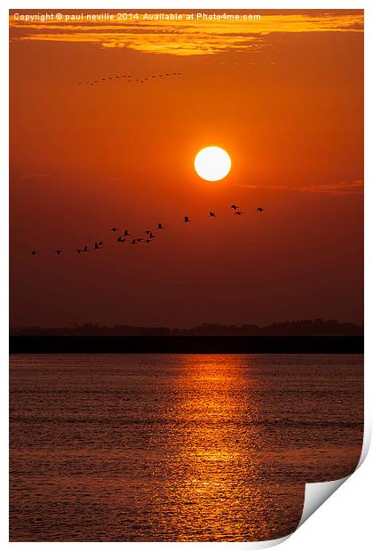  sun rise Print by paul neville
