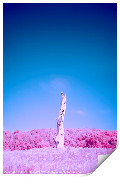 Lone Tree Infrared Image Print by Les McLuckie