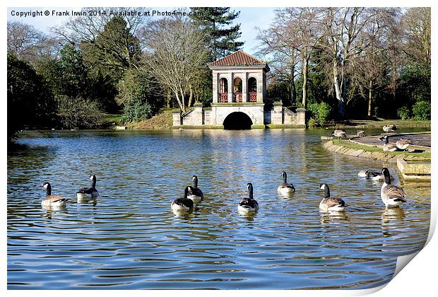 Geese swimming, Boat House in the background Print by Frank Irwin