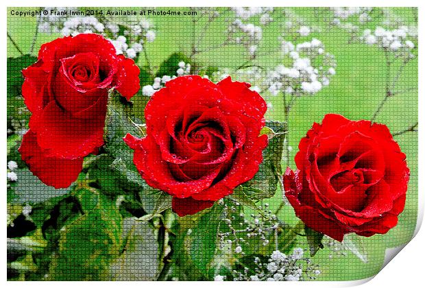 Artwork of Red Hybrid Tea roses Print by Frank Irwin