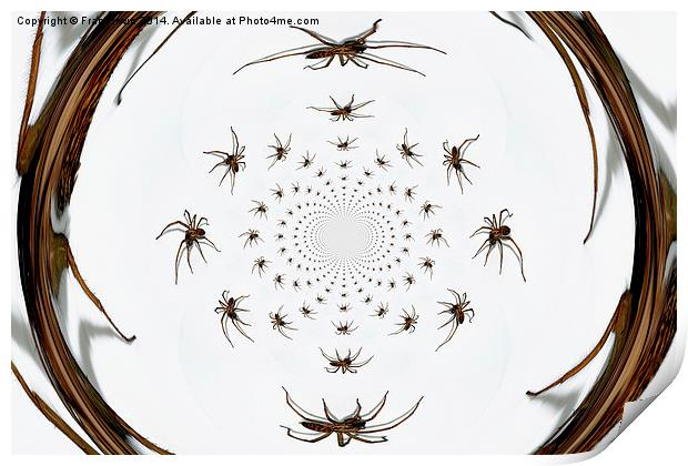   Arachnophobia a go-go Print by Frank Irwin
