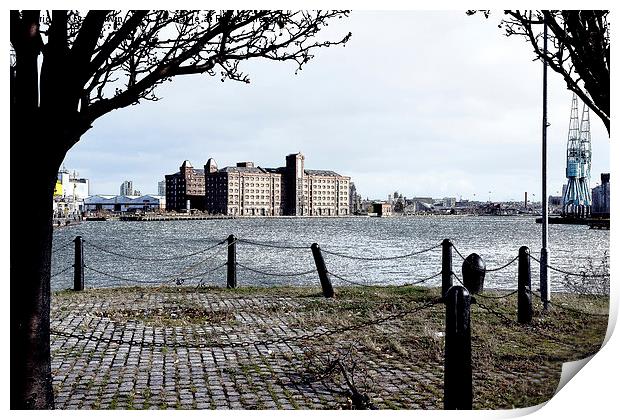  Birkenhead, Wirral, UK, a Dockland vista Print by Frank Irwin