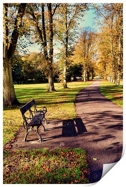 Autumnal colours in the park Print by Frank Irwin