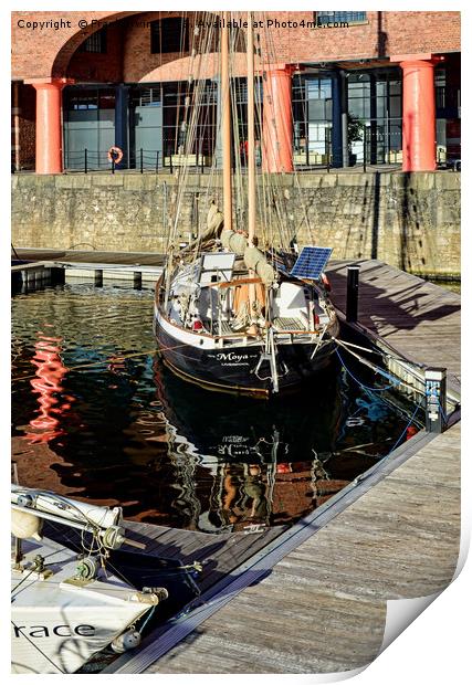 Quiet corner of the Albert Dock Marina Print by Frank Irwin