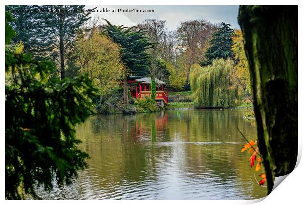 Birkenhead Park - Swiss Bridge Print by Frank Irwin