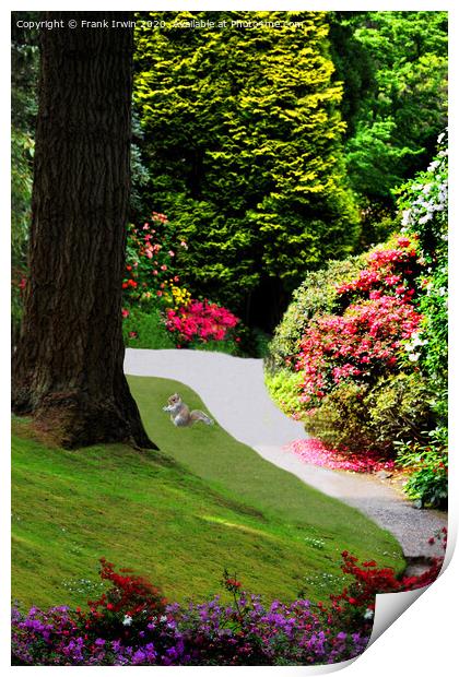 quiet, peaceful place amongst the foliage Print by Frank Irwin