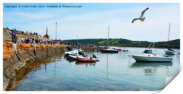 A seagull flies over New Quay Harbour Print by Frank Irwin