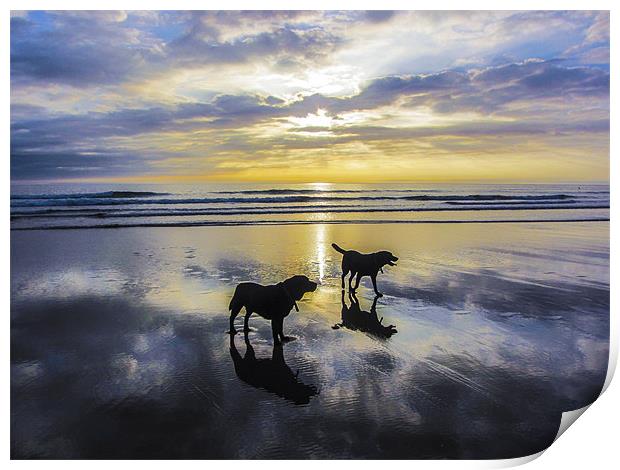 Winter sunset at Woolacombe Print by Andrew  Pettey