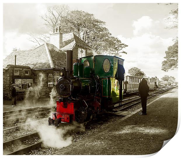 Lynton & Barnstaple Railway Print by Andrew  Pettey