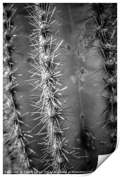 Saguaro Cactus, Superstition Mountains, Arizona Print by Gareth Burge Photography