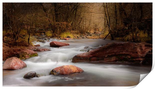 Autumn Stream, Arizona Print by Gareth Burge Photography