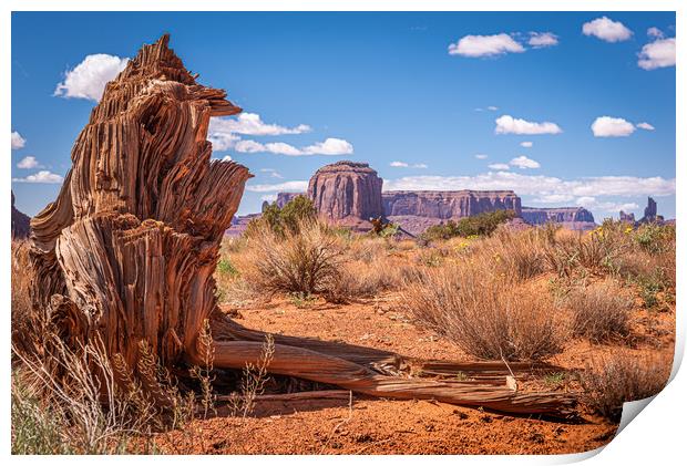 Tree Stump Butte Print by Gareth Burge Photography