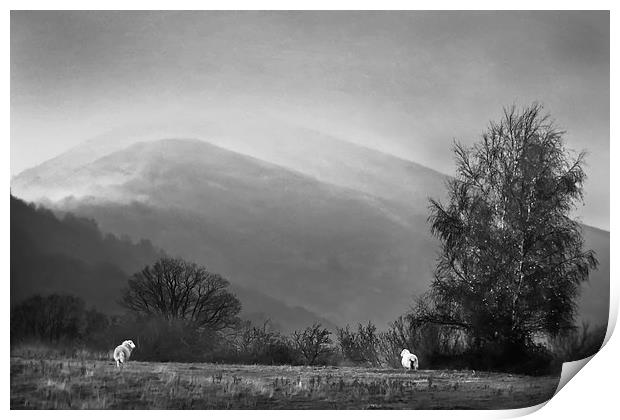  Malvern Hills from Hollybed Common Print by Sue Dudley