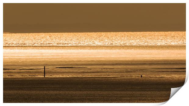Sunset at Brean Print by Sue Dudley