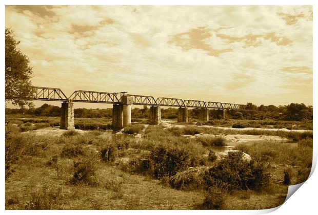 Selati Train Line Kruger Park Print by Alistair du Plessis