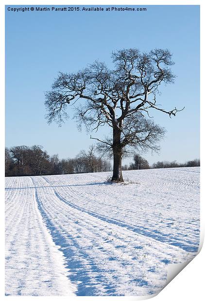 Tree in Snow Print by Martin Parratt