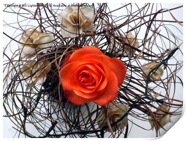 Dry flowers & the Rose Print by Bill Lighterness