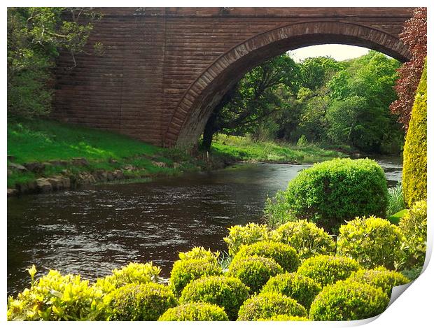 Bushes , Bridge and River Print by Bill Lighterness