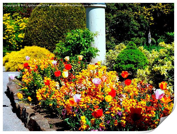 Colourful Gardens of Rememberance Print by Bill Lighterness